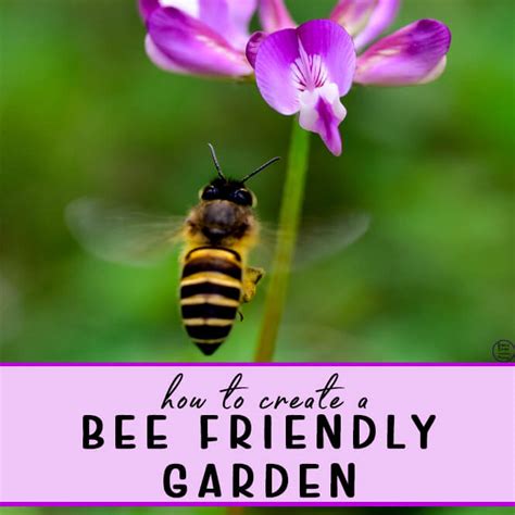 How to create a Bee-Friendly Garden - Simple Living. Creative Learning