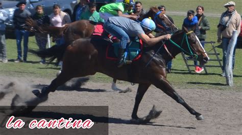 Pista Hipico Don Goyo Carrera Dist Mtrs Ganador