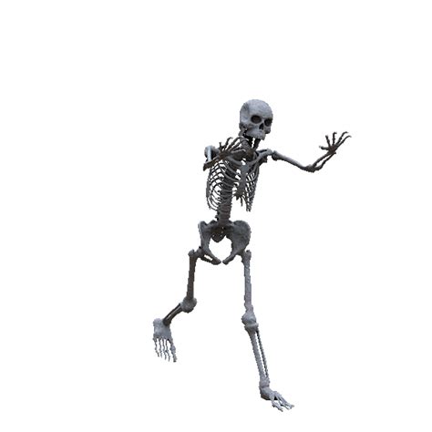 William Jacob Wizards Of Nature Rig And Animation Skeleton