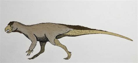 Heterodontosaurus Tucki By Mac Thir Chonaill On Deviantart