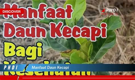 Temukan Manfaat Daun Kecapi Yang Jarang Diketahui