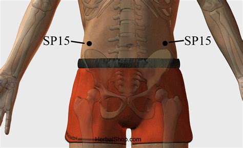 Acupressure Point SP15 HerbalShop