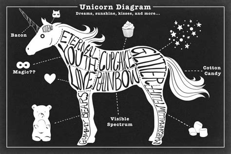 Unicorn Anatomy Diagram Canvas Print by 5by5collective | iCanvas