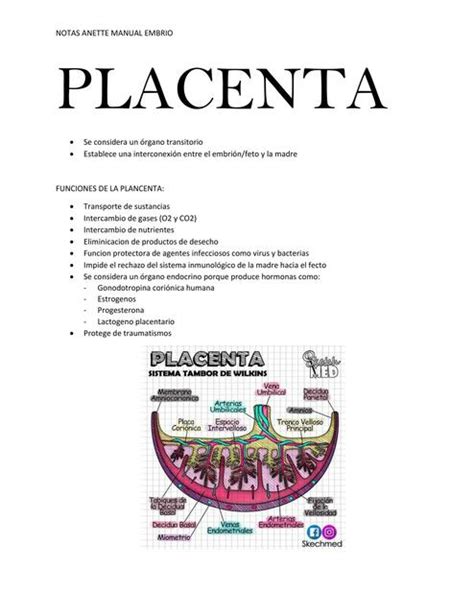 Placenta Anette Tristan Udocz