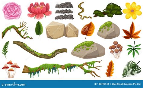 Placez Des Plantes Ornementales Illustration De Vecteur Illustration