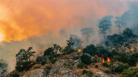 Climate Change – an Existential Threat That Can Change the World for ...