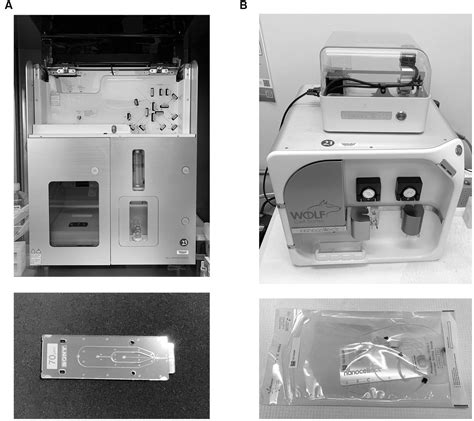 Frontiers Flow Cytometry And Cell Sorting