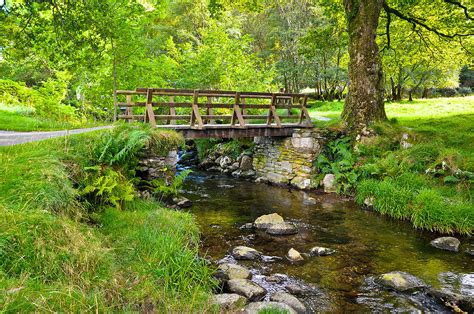 Bridge Over Stream Photograph By Erica Mclellan