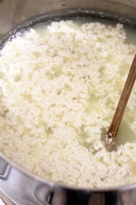 How to Make Your Own Mozzarella — Holoka Home