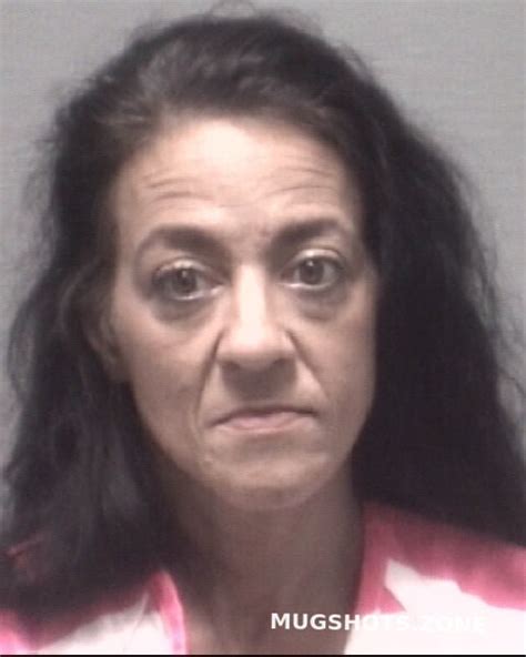 Coleman Crystal Elaine New Hanover County Mugshots Zone