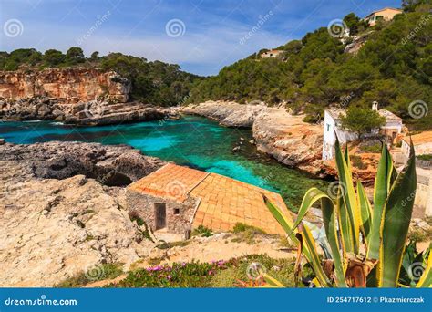 Beautiful Island Of Majorca Spain Stock Photo Image Of Plant Beach