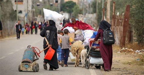 اليونيسيف لا مكان آمن لـ 600 ألف طفل في رفح عربي و دولي زاد الاردن