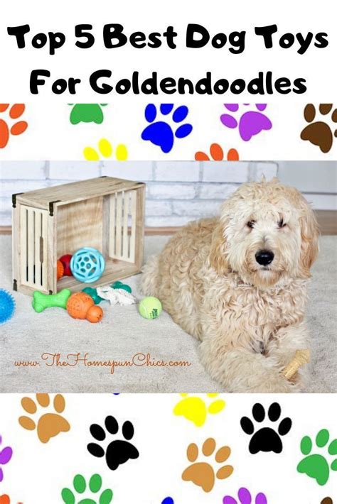 Top 5 Best Dog Toys For Goldendoodles The Homespun Chics Best Dog