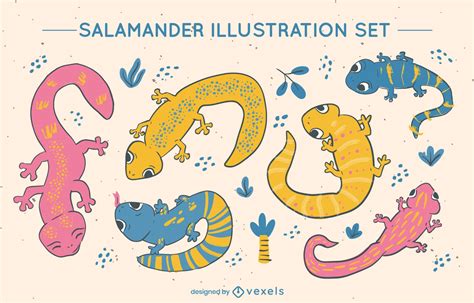 Salamander Illustration Character Set Vector Download