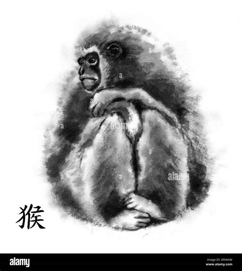 Monkey oriental ink painting with Chinese hieroglyph "monkey". Sitting ...