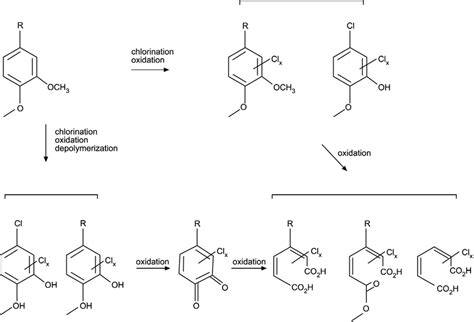 Scheme I Reactions Of Chlorine With A Fragment Of Residual Lignin