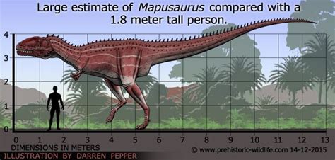 Mapusaurus Skeleton