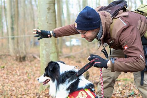 Rettungshunde Spürnasen auf vier Beinen