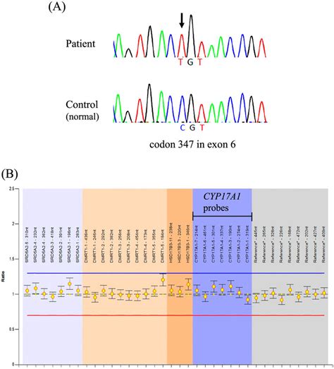 A Direct Sequencing Of Polymerase Chain Reaction Pcr Products A