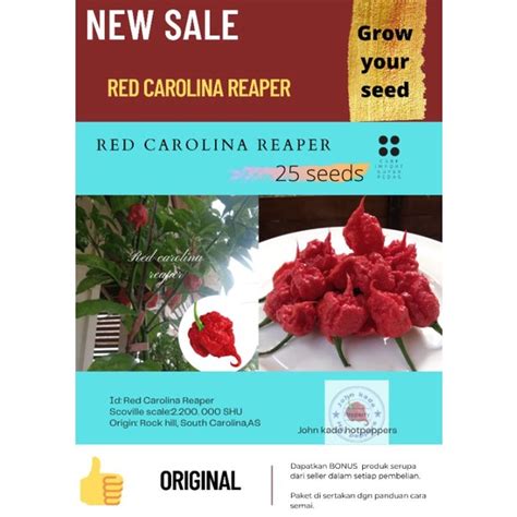 Jual Bibit Benih Biji Cabe Red Carolina Reaper Carolina Reaper Red