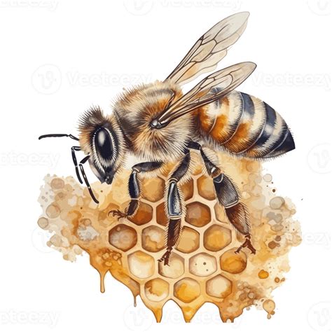 Aquarell Biene Bienenwabe Honig Ai Generiert 23657718 PNG