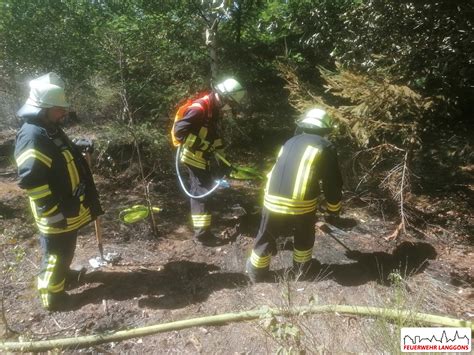 Freiwillige Feuerwehr Gemeinde Langg Ns Waldbrand In