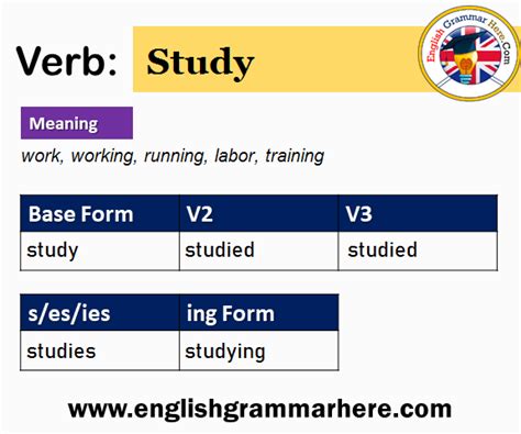 Simple Past Of Study - Study V1 V2 V3 V4 V5, Past Simple and Past Participle Form of Study ...
