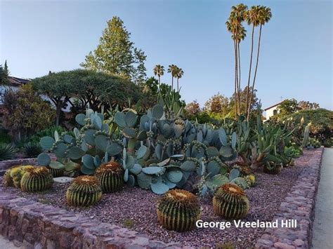 Beverly Gardens Park In Beverly Hills California Photo By George