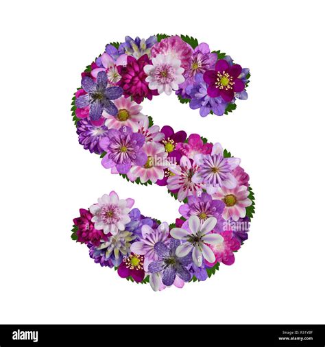 Flower Letter S Wallpaper