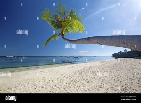 Panglao Island, Bohol Stock Photo - Alamy