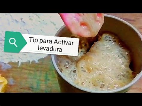 C Mo Activar La Levadura Fresca O Seca Youtube