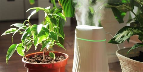 Your Best Home Remedy This Winter: Humidifiers - Health News Hub