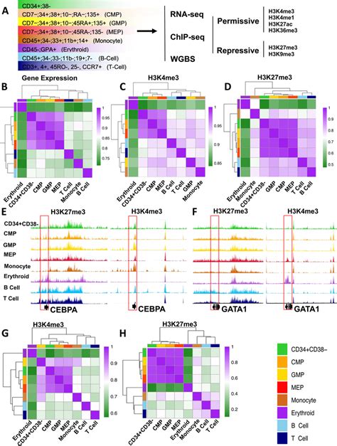 H3K27me3 Signatures Are Shared Across Functionally Distinct Human CD34