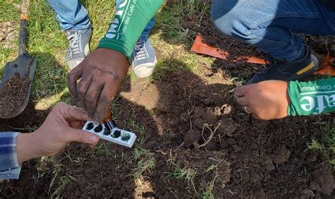 Lanzan iniciativa para salud del suelo y combate al cambio climático