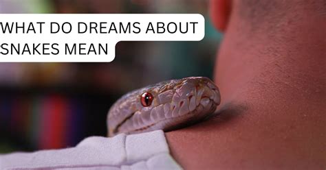 What Do Dreams About Snakes Mean And Symbolize