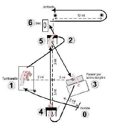 Esquema Del Circuit D Agilitat Oposicions Agents Rurals Oposicions