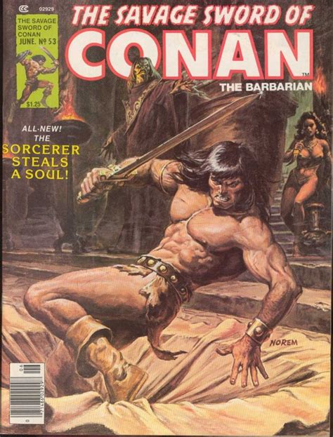 Conan Panini Biblioteca La Espada Salvaje Ficha De