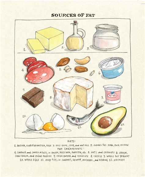 What Exactly Is Fat? And How to Cook with It Like a Smart Person | Bon