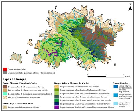 El Yunque National Forest Resource Management