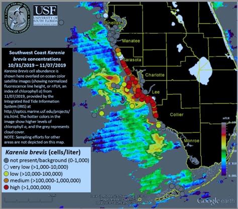 Current florida algae bloom map - sormetrics