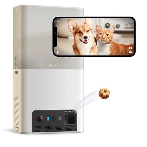 Petcube Bites 2 Lite Review: Is It The Best Pet Camera?