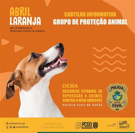 Cartilha Orienta Como Denunciar Maus Tratos A Animais