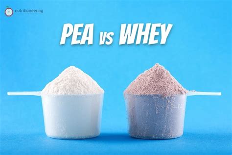 Pea Protein Vs Whey Which Is Better For Building Muscle U Nutritioneering