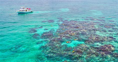 These 5 Snorkeling Tours Across Florida's Crystal-Clear Waters Will ...