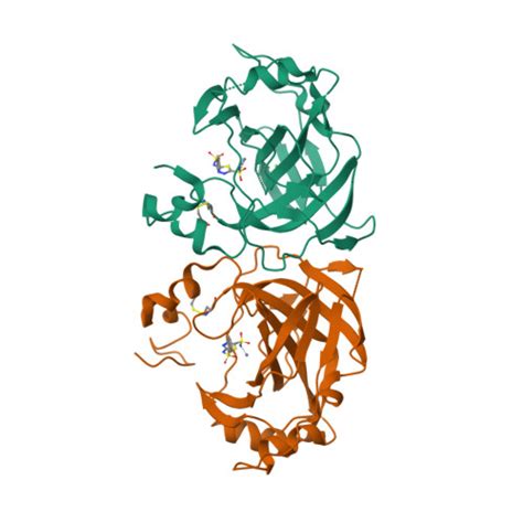 RCSB PDB 5TT8 Crystal Structure Of The Complex Of Helicobacter