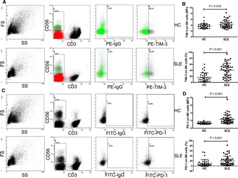 Expression Of Tim And Pd On Nk Cells In The Sle Patients A