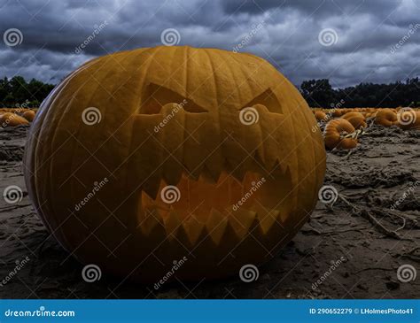 Creepy Pumpkin In A Pumpkin Patch Under A Dark Cloudy Sky Stock Image