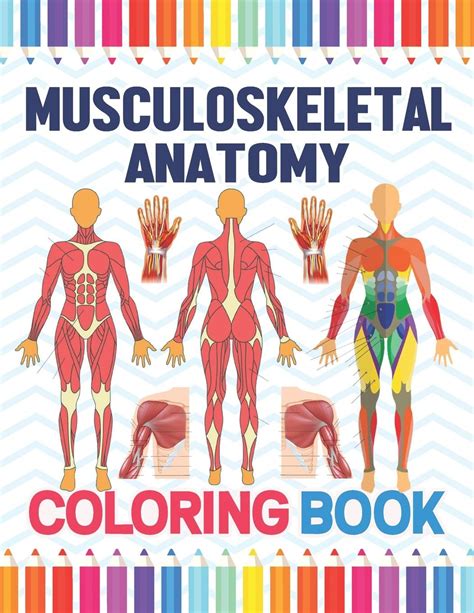 Musculoskeletal Anatomy Coloring Book Musculoskeletal Anatomy Coloring Work Book For Medical