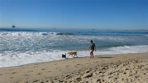 Huntington Dog Beach in Huntington Beach, California - Kid-friendly ...