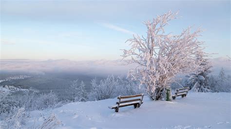 Sandwich Winter Zu Ende Winterlicher Start Dann Katastrophen Januar